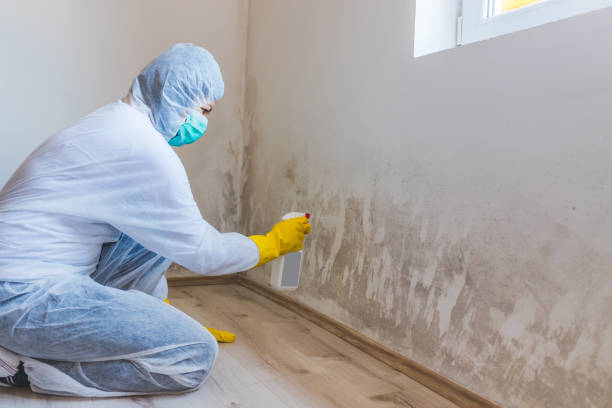 Best Mold Testing and Inspection Services in Menlo Park Terrace, NJ