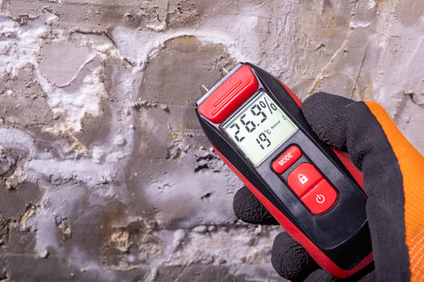 Best Mold Remediation for Specific Building Types in Menlo Park Terrace, NJ