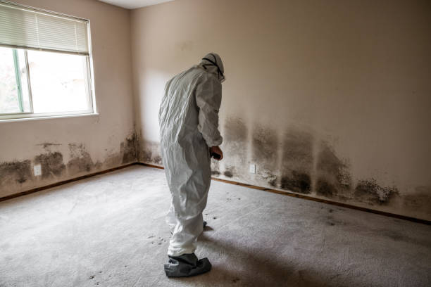 Best Preventive Mold Services in Menlo Park Terrace, NJ